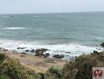 IMG_8922 (Copy)