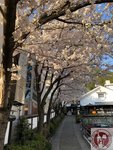 IMG_8464 (Copy)