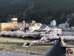 IMG_8461 (Copy)