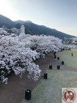 IMG_8478 (Copy)