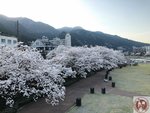 IMG_8479 (Copy)