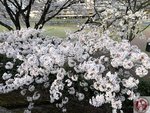 IMG_8489 (Copy)