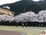 IMG_8500 (Copy)