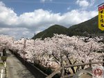 IMG_8707 (Copy)