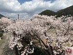 IMG_8708 (Copy)