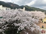 IMG_8710 (Copy)