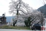 DSC02287 (Copy)