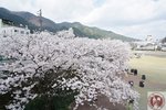 DSC02289 (Copy)