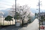 DSC02162 (Copy)