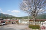 DSC02166 (Copy)