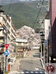 IMG_8439 (Copy)