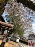 IMG_8445 (Copy)