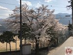 IMG_8448 (Copy)