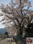 IMG_8449 (Copy)