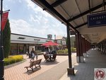 IMG_8738 (Copy)