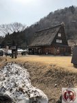 IMG_7516 (Copy)