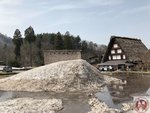 IMG_7527 (Copy)