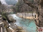 IMG_7530 (Copy)