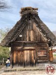 IMG_7531 (Copy)