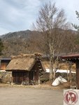 IMG_7534 (Copy)