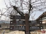 IMG_7555 (Copy)