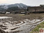 IMG_7556 (Copy)
