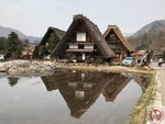 IMG_7567 (Copy)