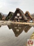 IMG_7568 (Copy)