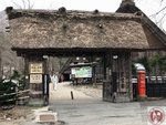 IMG_7587 (Copy)