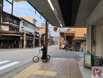 IMG_7984 (Copy)