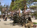 IMG_8426 (Copy)