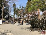 IMG_8427 (Copy)