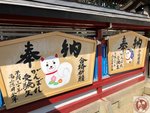 IMG_8434 (Copy)