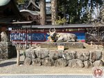 IMG_8436 (Copy)