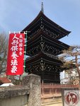 IMG_8272 (Copy)