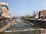 IMG_8278 (Copy)