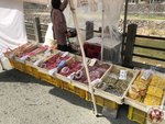 IMG_8290 (Copy)