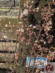 IMG_8316 (Copy)
