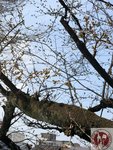 IMG_8317 (Copy)