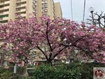 IMG_9350 (Copy)