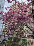 IMG_9352 (Copy)