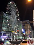 IMG_7226 (Copy)