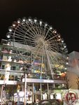 IMG_7227 (Copy)
