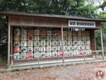 IMG_9288 (Copy)