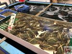 IMG_9180 (Copy)