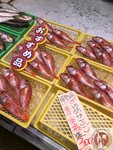 IMG_9233 (Copy)
