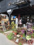 IMG_9557 (Copy)