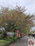 IMG_9061 (Copy)