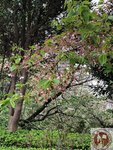 IMG_9063 (Copy)