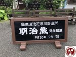 IMG_4462 (Copy)